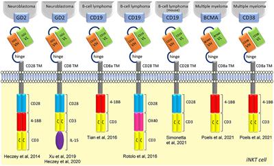 Adoptive Immunotherapy With Engineered iNKT Cells to Target Cancer Cells and the Suppressive Microenvironment